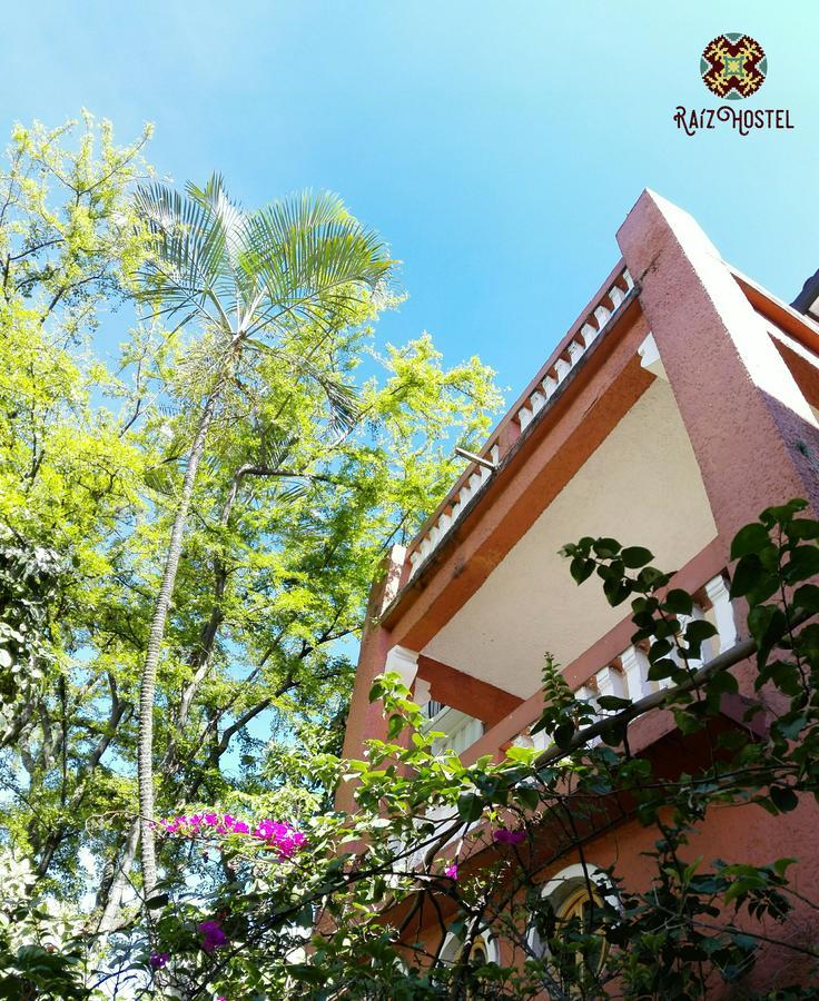 Raiz Hostel Medellín Exteriér fotografie